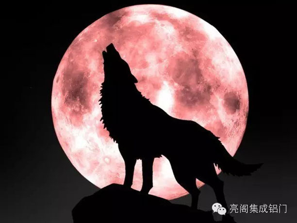 鋁門窗十大品牌,鋁合金門窗十大品牌－－狼