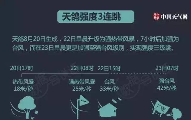 “鴿斯拉”強勢來襲，顛覆了我對門窗的價值觀，終于知道為什么都選亮閣門窗了！